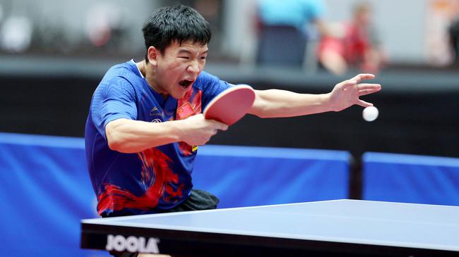 穿灰熊防线 穿灰熊防线